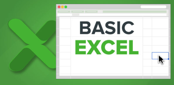 Basic Excel Training